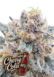 RF3 Auto Mixpack Fastbuds. Week 0