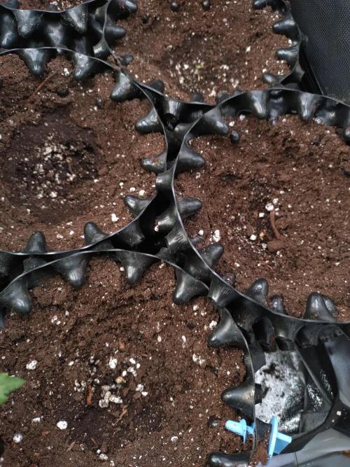 RF3 Auto Mixpack Fastbuds. Week 0