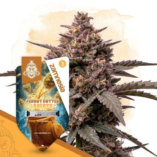 Peanut Butter Breath Auto Zamnesia. Week 0