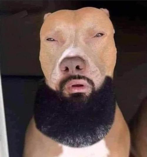 Permanent Marker Zamnesia. Week 0