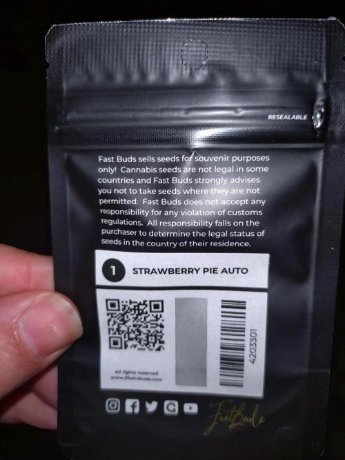 Strawberry Pie Auto Fastbuds. Week 0