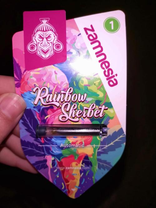 Rainbow Sherbet Auto Zamnesia. Week 0