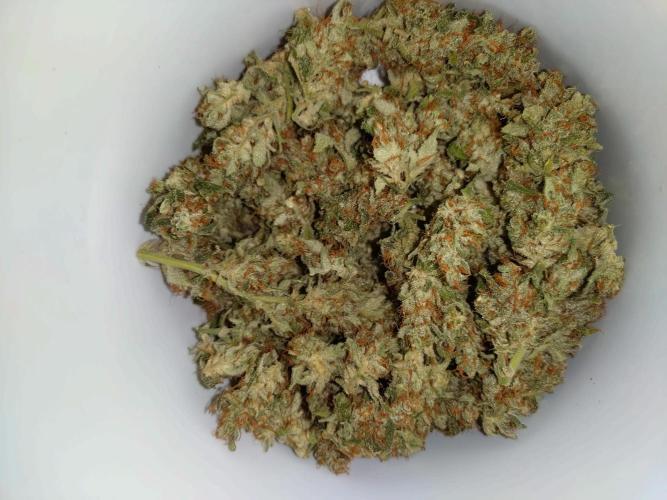 Auto #1 RF3 Mixpack Fastbuds. Week 12