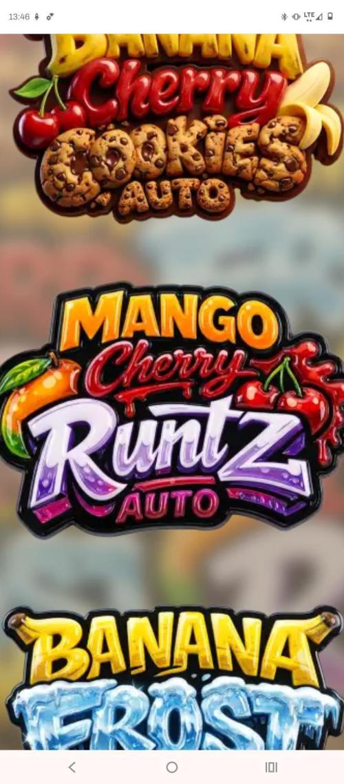 Mango Cherry Runtz F1 CHAMP Fastbuds. Week 0
