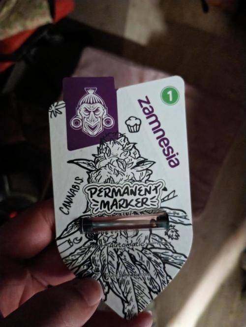 Permanent Marker Automatic. Week 0