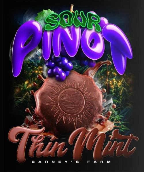 2. Run Thin Mint x Sour Pinot Auto BNF. Week 0
