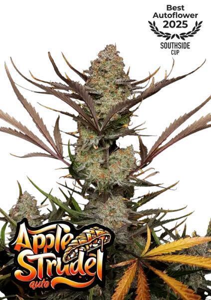 Apple Strudel Auto. Week 0