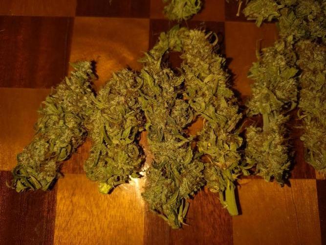 Titan F1 RQS. Week 9