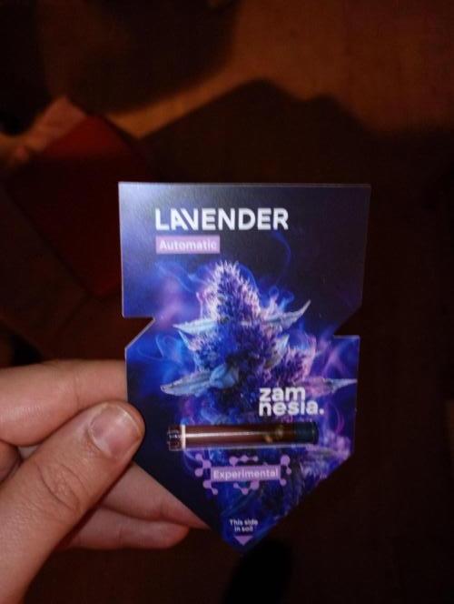 Linalool Grow - Lavender Auto Zamnesia. Week 0