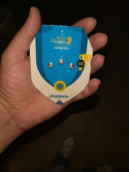 Euphoria Royal Queen Seeds. Week 0