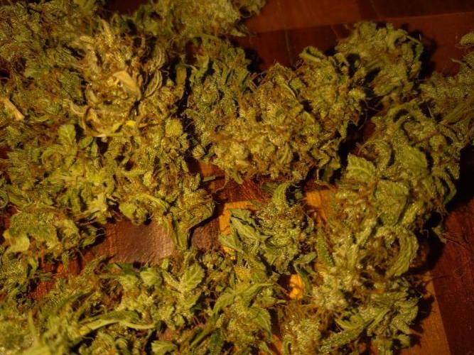 Titan F1 RQS. Week 9