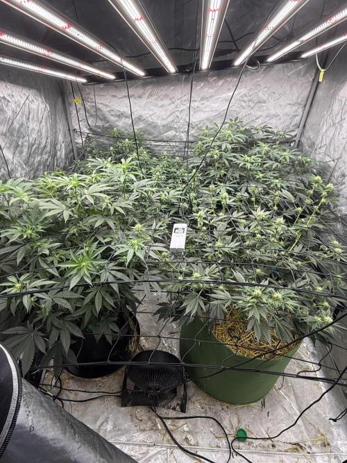 5x5 set up. Week 10