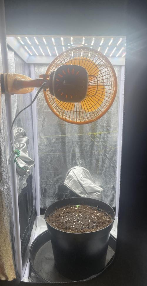 Chocolate rainbow XXL. Week 1 - Day 1 (27 november)