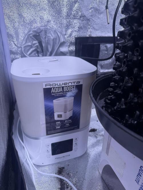 Mix  SL DWC 34 l /  GMOC Soil 12l 🌊vs??. Week 1