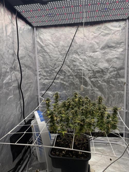 Chocolate rainbow XXL🌈🍫. Week 17