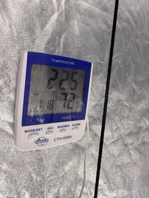 90x90 / 420 w / Mixed Strains. Week 0
