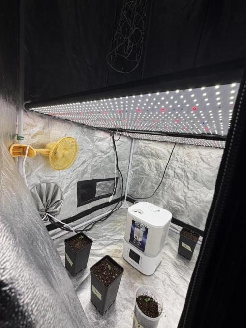 90x90 / 420 w / Mixed Strains. Week 1
