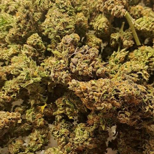 Budz_Bunny  Time for Variety