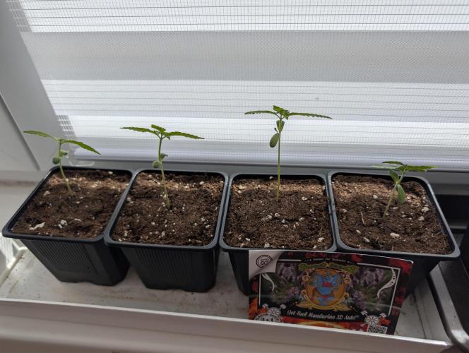 Outdoor 2026#2. Week 2