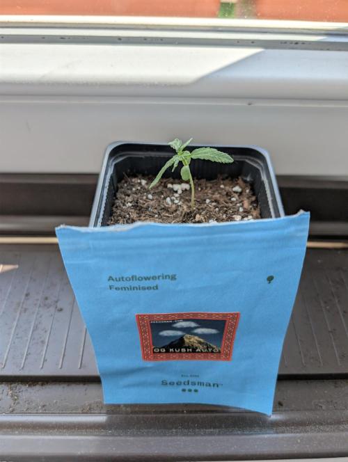 Outdoor 2026#2. Week 2