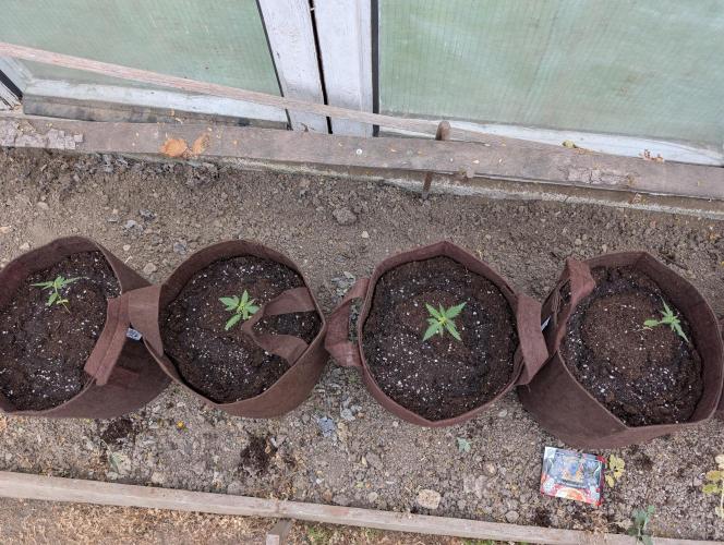 Outdoor 2026#2. Week 3