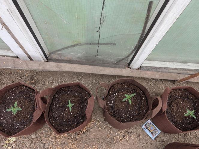 Outdoor 2026#2. Week 3