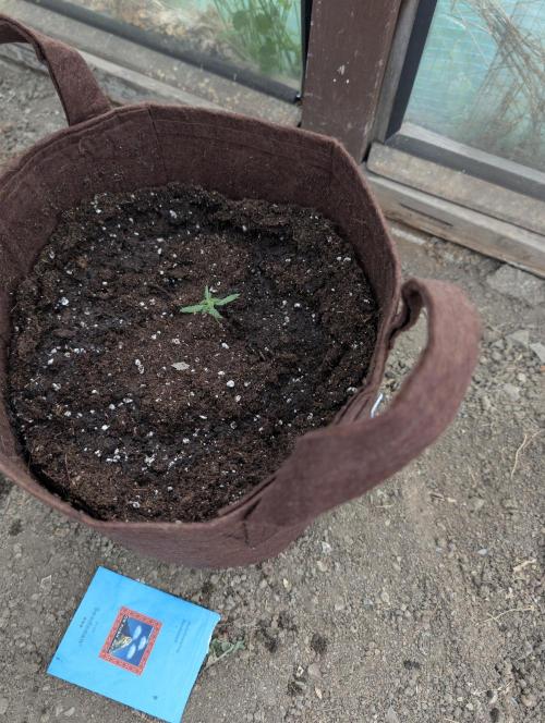 Outdoor 2026#2. Week 3