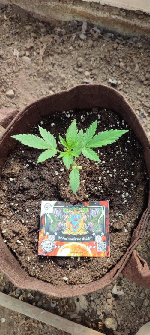 Outdoor 2026#2. Week 4