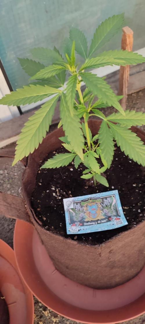 Outdoor 2026#2. Week 5