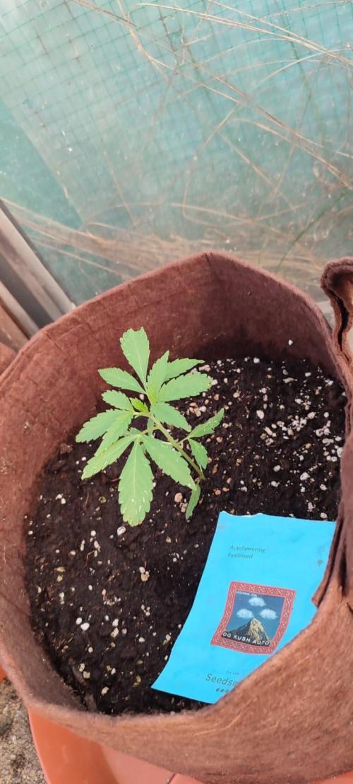 Outdoor 2026#2. Week 5