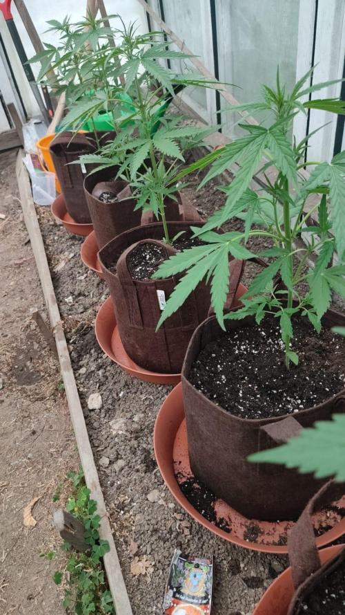 Outdoor 2026#2. Week 6
