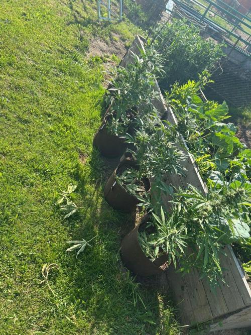 Outdoor 2026#1. Week 9