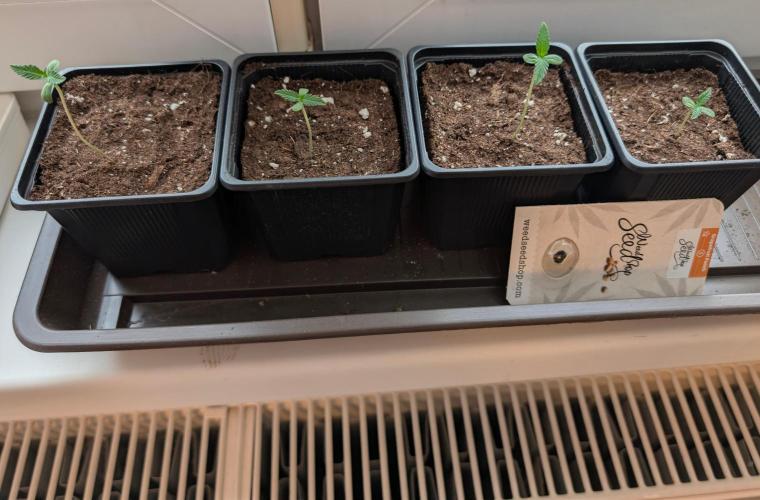 Outdoor Auto2026#3. Week 1