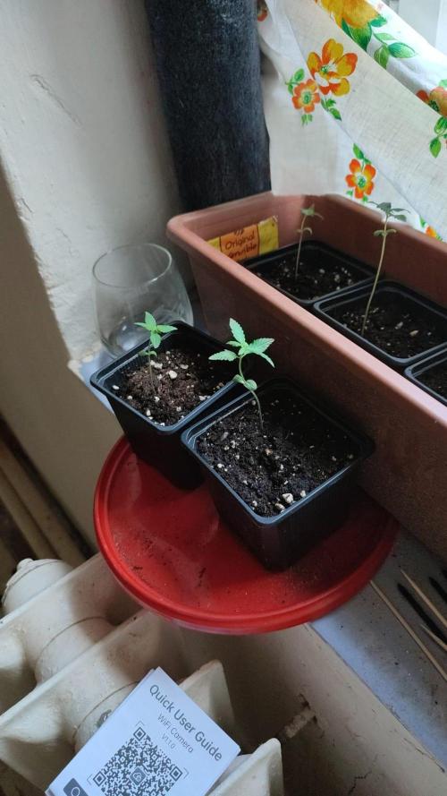 Outdoor Auto2026#3. Week 2