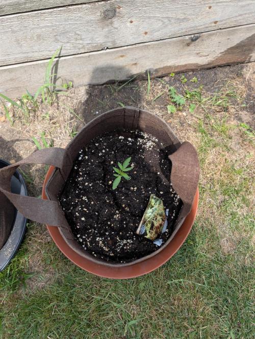 Outdoor 2026#4. Week 2