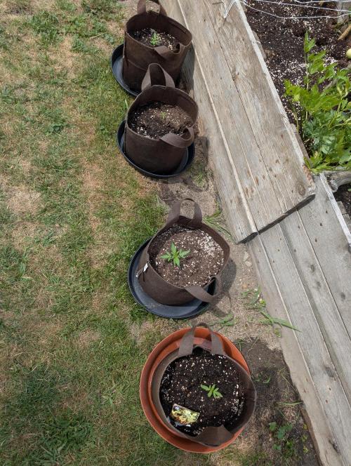 Outdoor 2026#4. Week 2