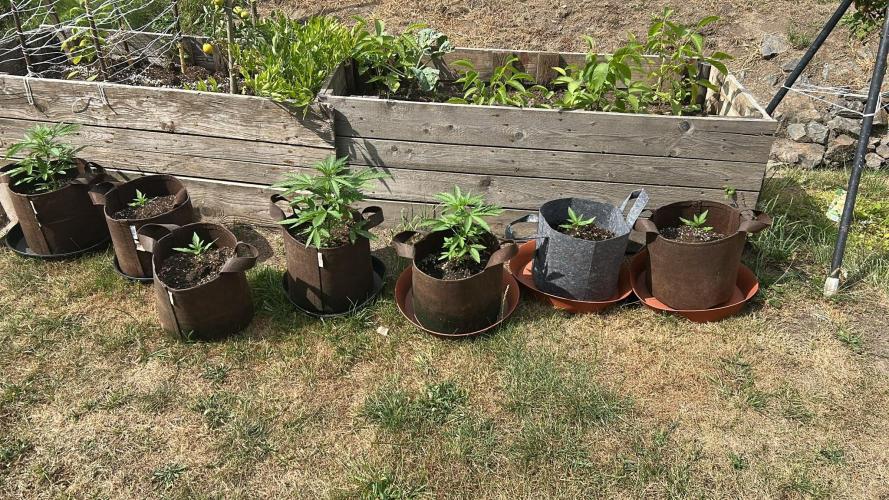 Outdoor 2026#4. Week 3
