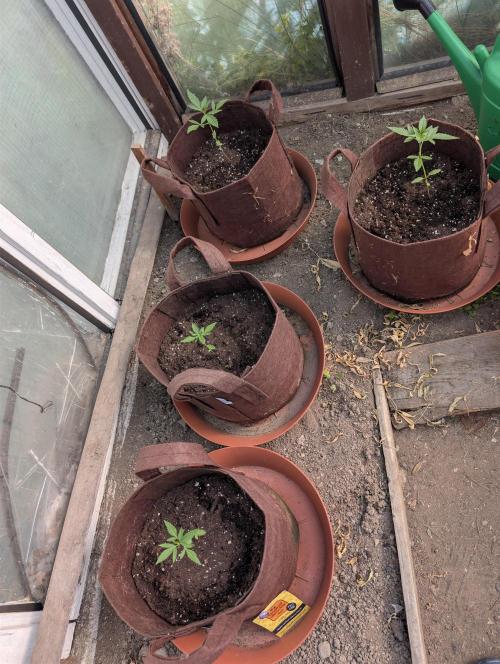 Outdoor Auto2026#3. Week 3
