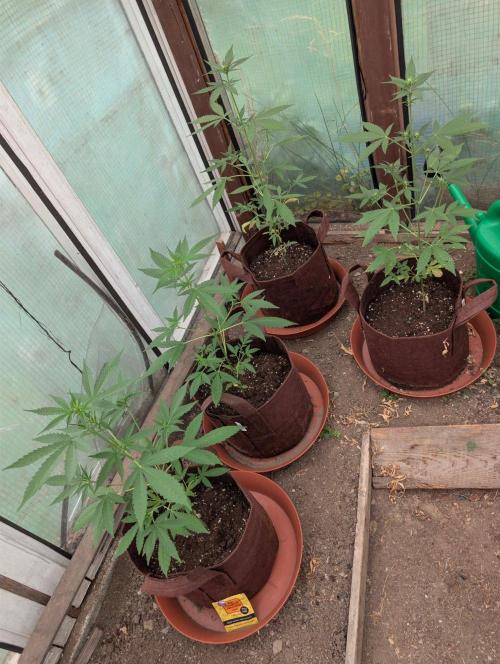 Outdoor Auto2026#3. Week 4