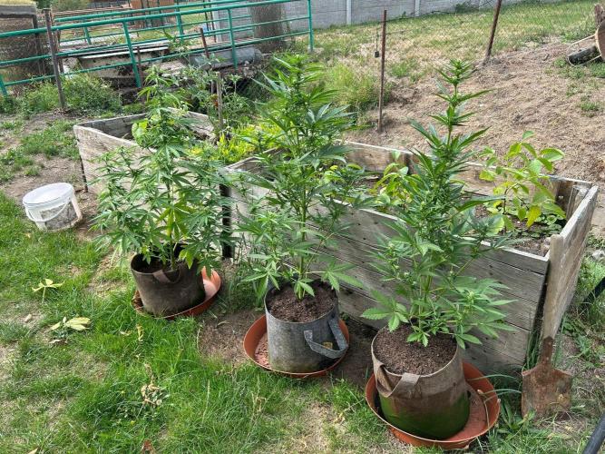 Outdoor 2026#4. Week 4
