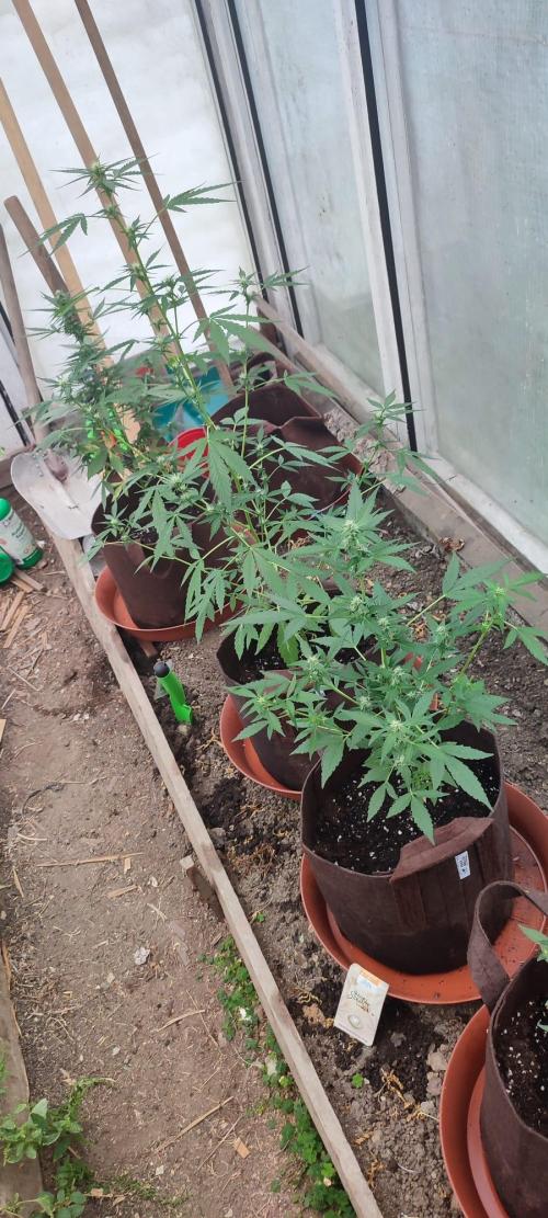 Outdoor Auto2026#3. Week 5