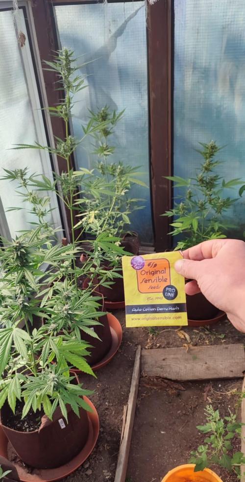 Outdoor Auto2026#3. Week 6