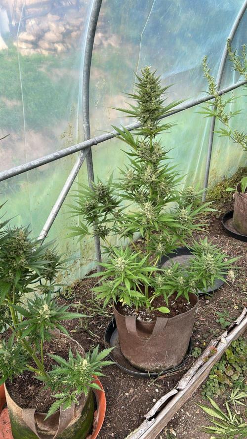 Outdoor 2026#4. Week 5