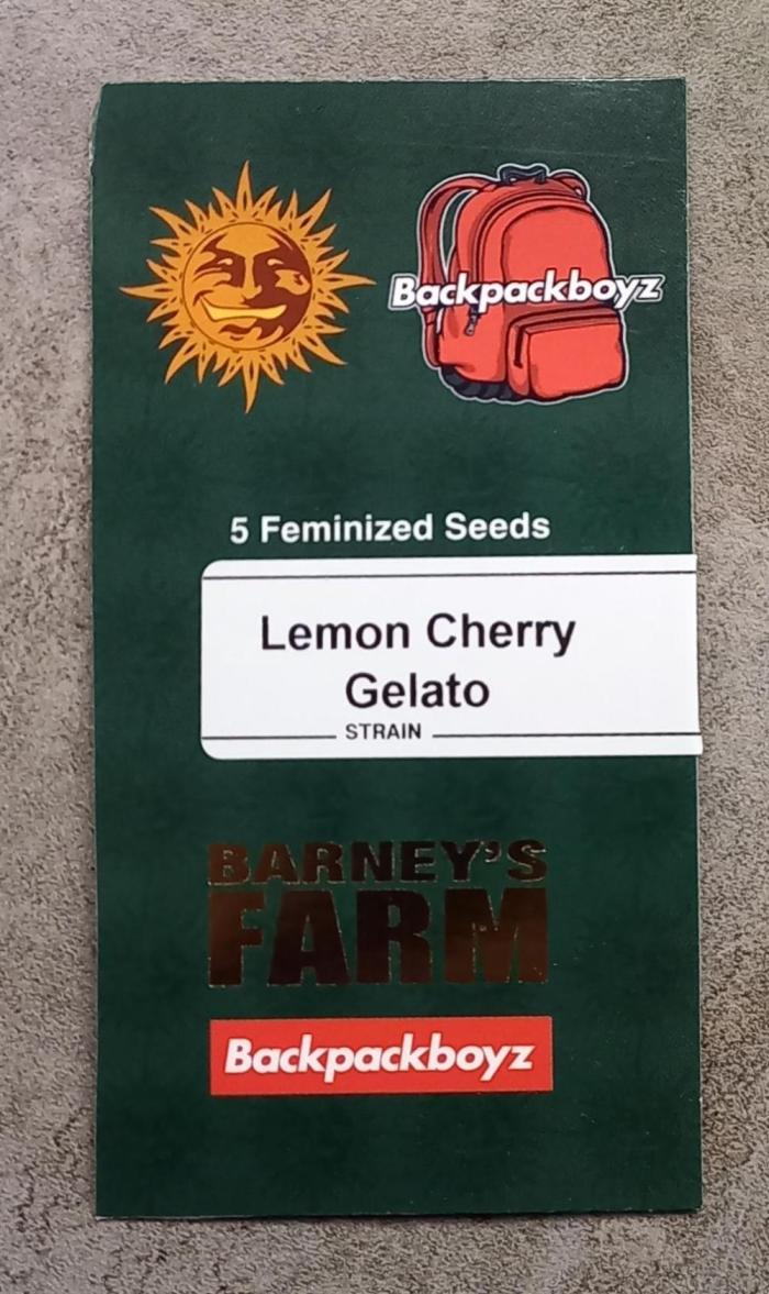 Lemon Cherry Gelato. Week 0