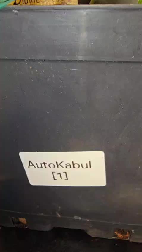 Divine Seeds  - Auto Kabul