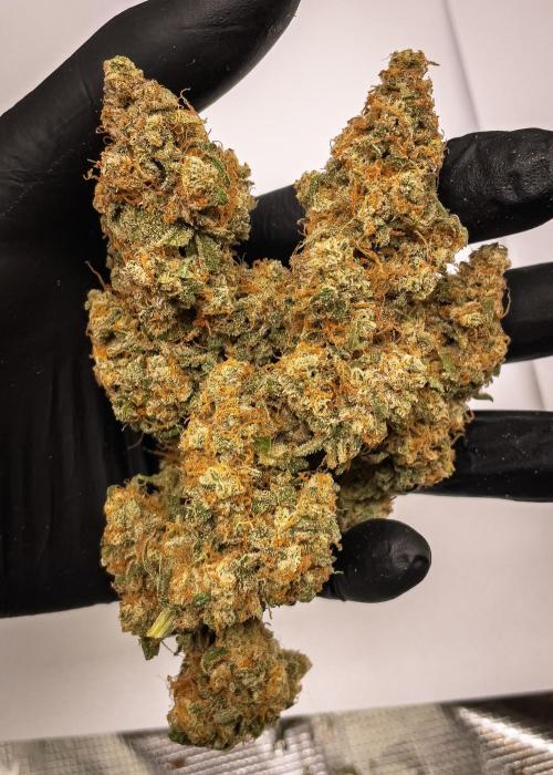 Sour Stomper by Mephisto in Autopot. Week 12 - Sour Stomper #1