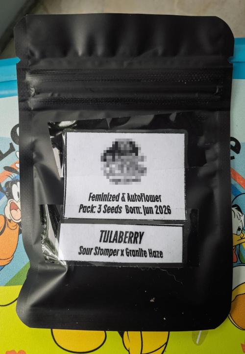 RS-11 (Mephisto) | Tulaberry (F1-Test). Week 0 - D0