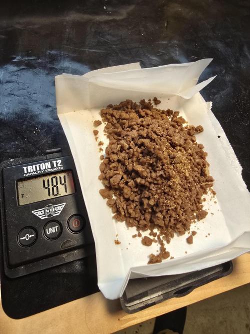 Seedsman - Blueberry Pie F1 Fast Outdoor - Hugelkultur - Mainline. Week 31 - After 5 days drying. 