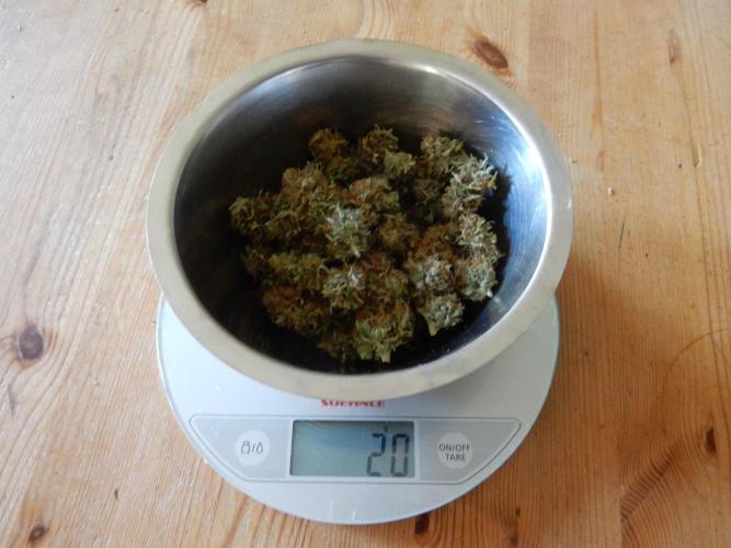 Auto Candy Bubatz XL - I/O. Week 11