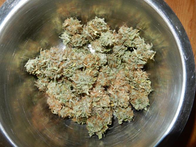 Auto Candy Bubatz XL - I/O. Week 11